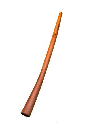 Didgeridoo Swiss 1st Classe Paint