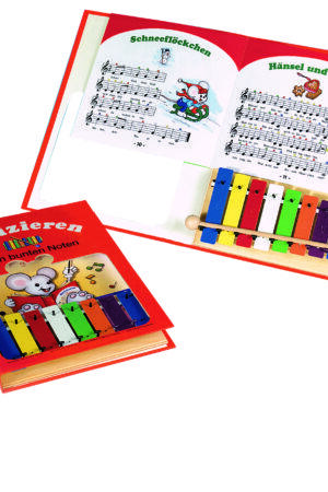 Kinderxylophon im Buch